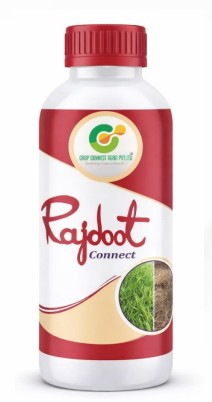 Connect Rajdoot